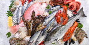 trusted frozen seafood exporting company